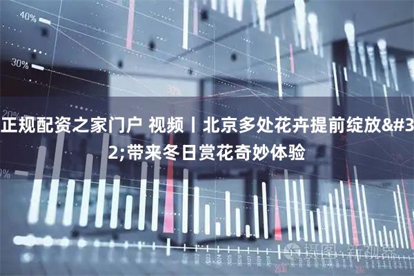 正规配资之家门户 视频丨北京多处花卉提前绽放&#32;带来冬日赏花奇妙体验