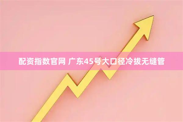 配资指数官网 广东45号大口径冷拔无缝管